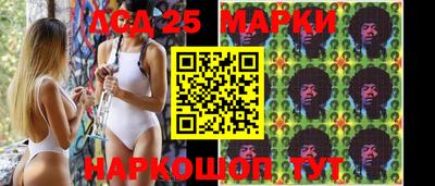 метадон Донской