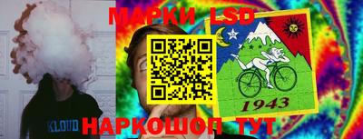 метадон Донской