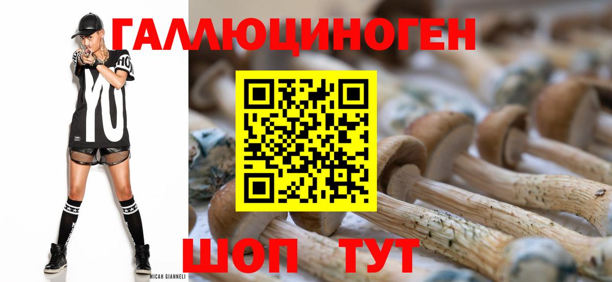 продажа наркотиков  Псилоцибиновые грибы Psilocybine cubensis  Вход с VPN  Мурино  Галлюциногенные грибы Cubensis 